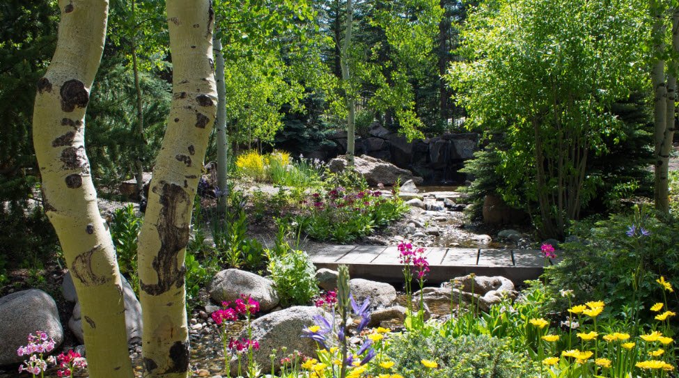 Betty Ford Alpine Gardens, United States